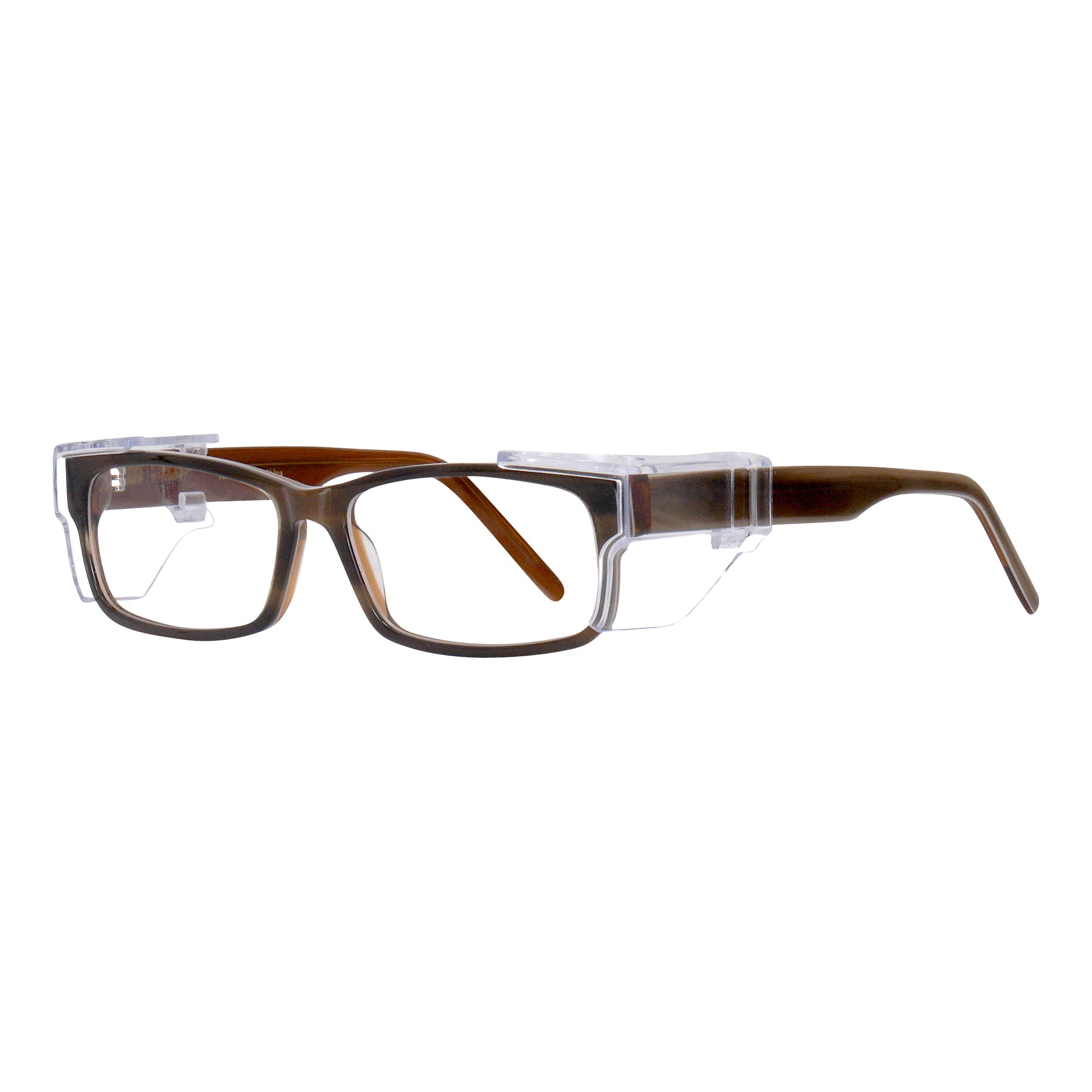 H107S C.2 - Shiny Tortoise